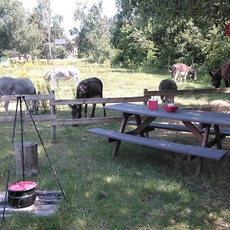 De Balkende Hoeve Aarschot Buitenkant foto