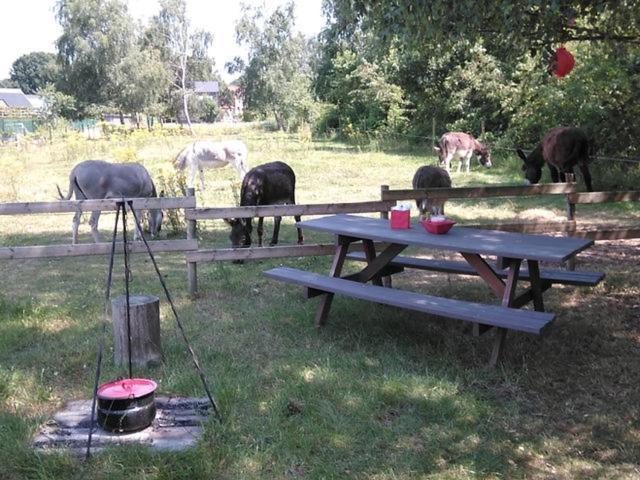 De Balkende Hoeve Aarschot Buitenkant foto