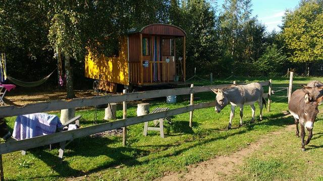 De Balkende Hoeve Aarschot Buitenkant foto